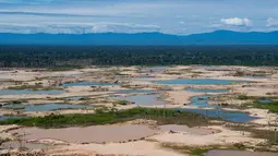 Pandangan udara kawasan Hutan Amazon yang terdeforestasi (penurunan luas area hutan secara kualitas dan kuantitas) di wilayah Sungai Madre de Dios, Peru, Jumat (17/5/2019). Pemerintah Peru meluncurkan Operasi Merkuri untuk mengusir penambang ilegal yang merusak Hutan Amazon. (CRIS BOURONCLE/AFP)