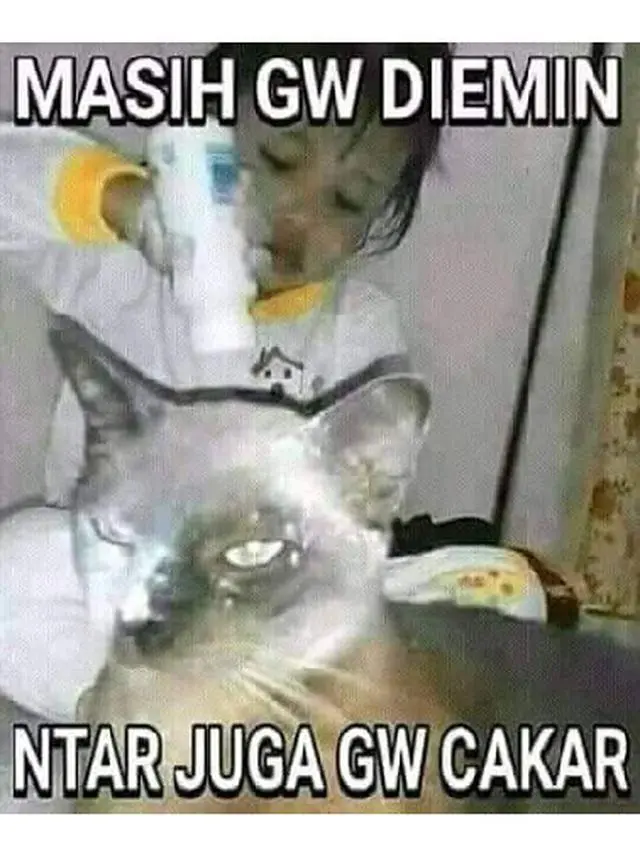 6 Tingkah Absurd Bocah Bareng Kucing Ini Bikin Tepuk Jidat