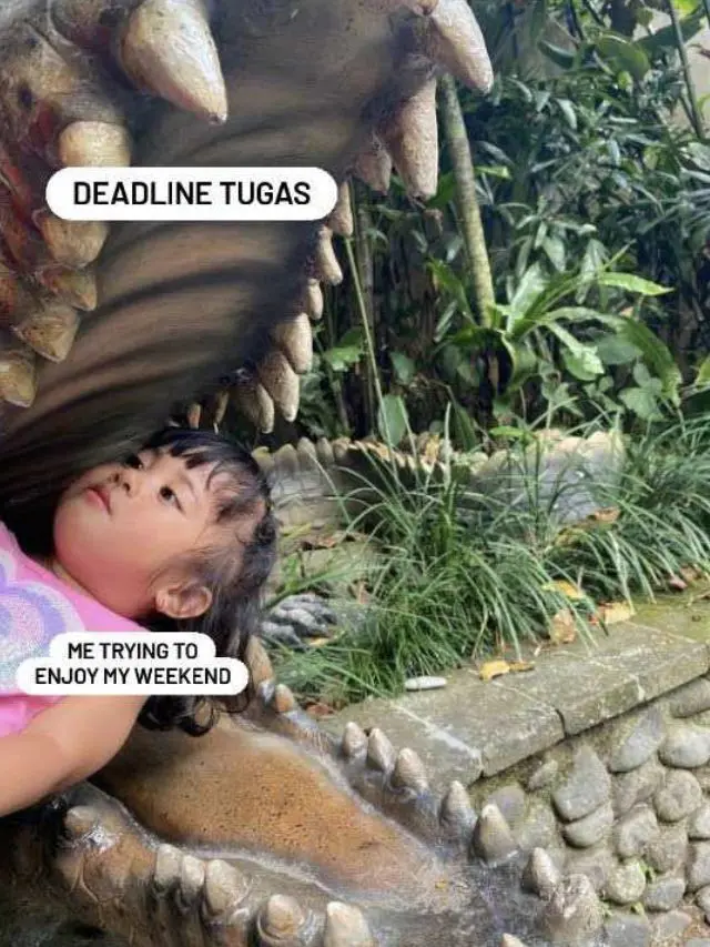 Sampai Tertekan, Ini 7 Meme Orang Dikejar Tugas yang Bikin Pusing