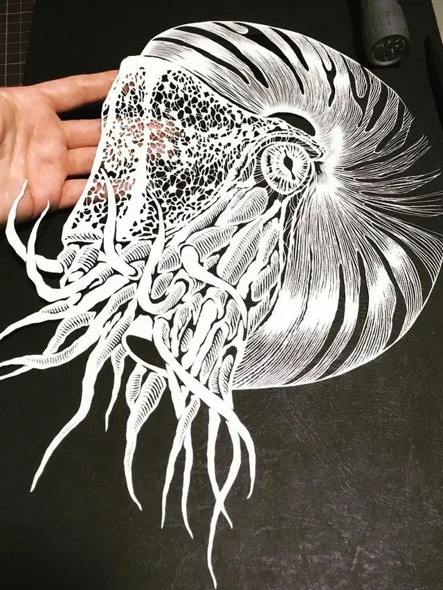 papercut (foto: @kiriesousakukamasayo)