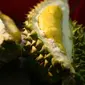 Ilustrasi buah durian. (Pexels.com/Maddog 229)