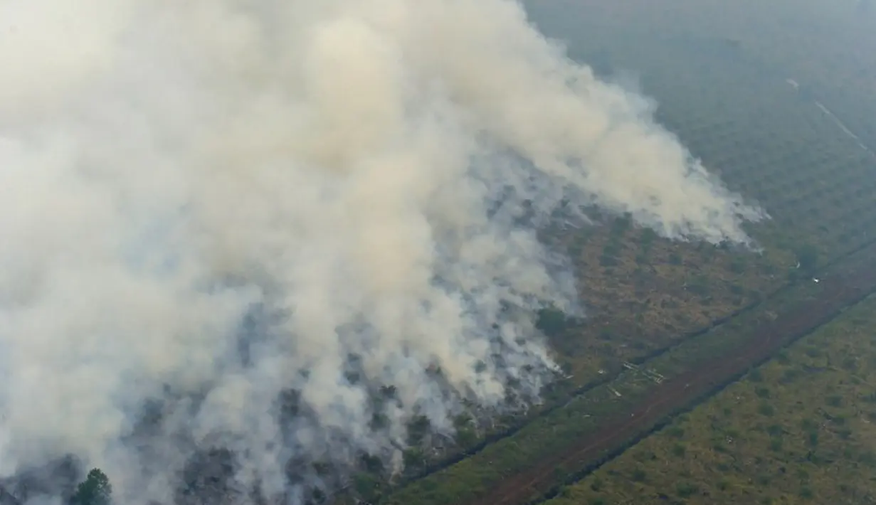 Pemandangan lahan yang terbakar dari atas helikopter di Pelalawan, Provinsi Riau, Kamis (17/9/2015). Asap dari kebakaran hutan ini mengakibatkan aktivitas warga Riau dan sekitarnya terganggu (AFP Photo/Adek Berry)