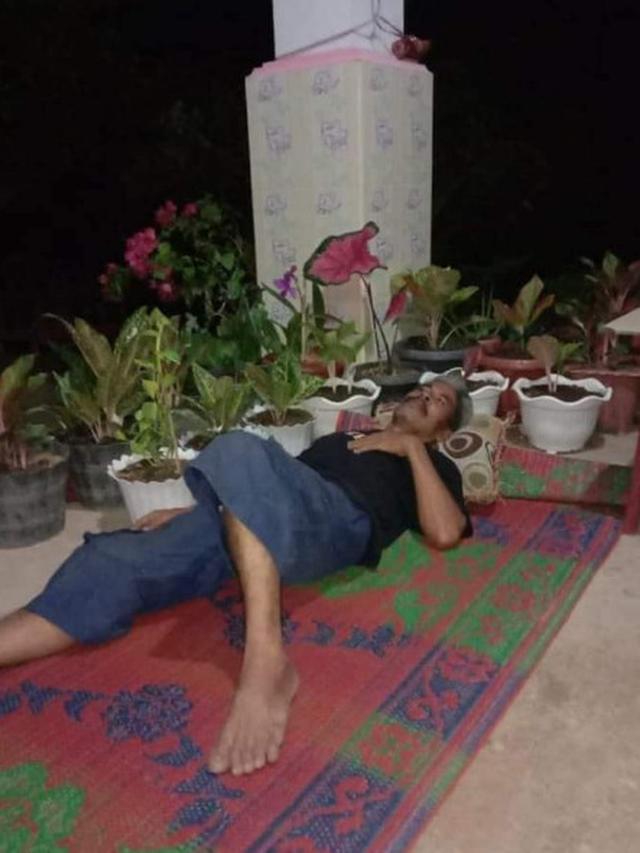 Agar Tanaman Hias Tak Dicuri, Berikut 3 Potret Pria Tidur Bersama Tanaman Miliknya