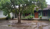 8 Pohon Buah untuk Rumah yang Halamannya Selalu Becek Saat Hujan, Pilih yang Tahan Tanah Lembap