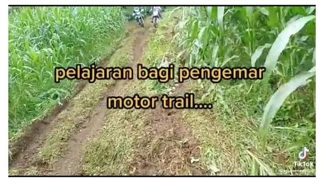 Diduga Ulah Pengendara Motor Trail, Nenek Ini Histeris Kebun Jagungnya Rusak