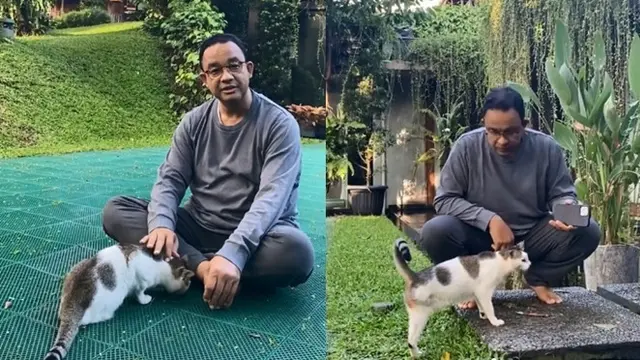 Cerita Anies Baswedan Mengadopsi Kucing Berkaki Tiga
