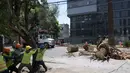 Para ahli bedah pohon telah menebang pohon-pohon palem yang layu di lingkungan Narvarte pusat, merenggut sebagian dari sejarah Mexico City. (RODRIGO ARANGUA / AFP)