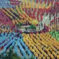 Tari payung yang berhasil memecahkan rekor dunia ini diramaikan oleh kehadiran 10.580 penari. (Foto: Dailymail)