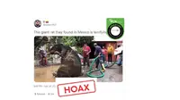 Cek Fakta: Hoaks Tikus Raksasa Ditemukan di Meksiko