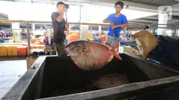 Pekerja mempersiapkan ikan di Pasar Ikan Modern Muara Baru, Jakarta, Jumat (8/10/2021). Nelayan Muara Baru menghentikan aksi mogok bongkar muat terkait penolakan PP No 85 Tahun 2021 mengenai naiknya tarif Penerimaan Negara Bukan Pajak (PNBP) sektor perikanan. (Liputan6.com/Herman Zakharia)