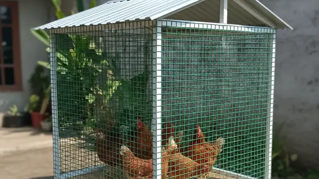Desain Kandang Ayam Baja Ringan. AI
