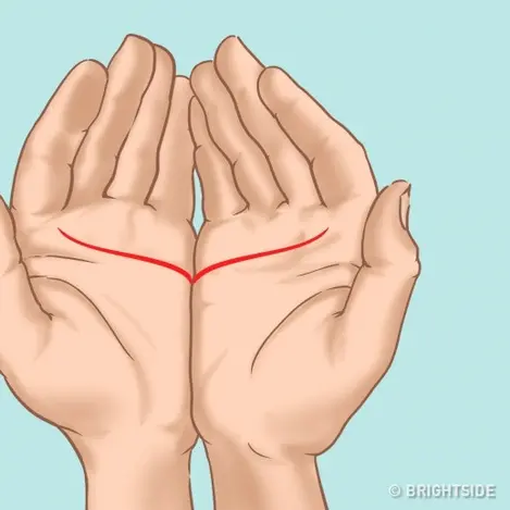 Kepribadian Pasangan Berdasarkan Garis Tangan Cek Yuk Lifestyle Fimela Com