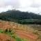 Apa Itu Pembukaan Lahan Tanpa Bakar (PLTB)? Ini Pengertian, Metode, dan Manfaatnya