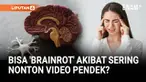 Sebuah studi baru menunjukkan kalau terlalu sering nonton video pendek bisa mengubah bagian otak yang terhubung dengan penghargaan dan emosi. Seiring waktu, orang bisa sulit untuk fokus dan mengendalikan emosi.