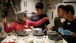 Para ilmuwan Indonesia mempelajari ekosistem laut dalam Indonesia yang masih jarang tersentuh dalam kajian-kajian ilmiah. Tampak dalam foto yang diambil pada 9 Januari 2026 menunjukkan spesialis krustasea Indonesia Pipit Pitriana (kiri) dari Badan Riset dan Inovasi Nasional (BRIN) sedang mendiskusikan spesimen laut dalam yang dikumpulkan oleh kapal selam dengan ilmuwan kelautan lainnya di OceanXplorer, sebuah kapal penelitian yang dioperasikan oleh organisasi nirlaba kelautan OceanX, di perairan lepas pantai pulau Sulawesi. (YASUYOSHI CHIBA/AFP)