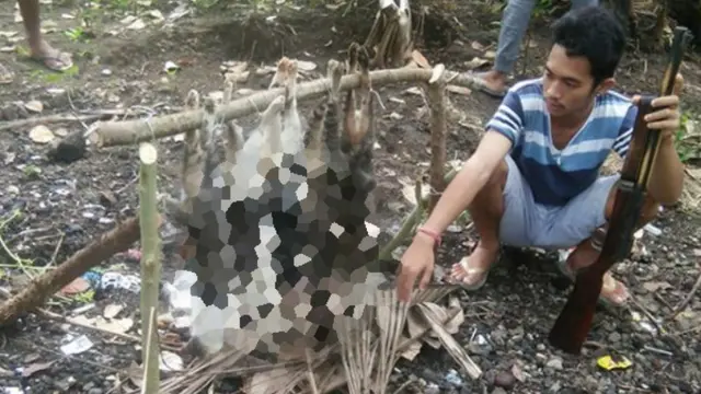 Viral, Sekelompok Pemuda Bantai Kucing untuk Dibakar
