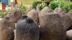 Survei Pohon Durian Berujung Hilangnya Batu Bersejarah Era Medang di Jember