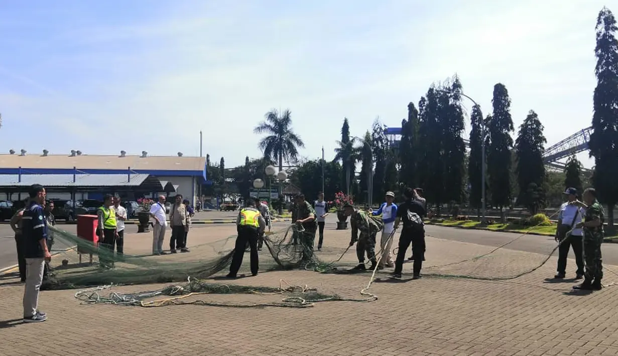 Tim Rescue Whale Shark menyiapkan peralatan untuk mengevakuasi hiu paus yang terjebak di salah satu kanal atau saluran air pendingin PLTU Paiton, Probolinggo, 17 September 2019. Hiu paus itu diduga masuk melalui saluran air di bagian utara yang telah rusak. (Liputan6.com/Pool/Humas PLN)
