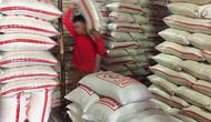 Pekerja mengangkut karung beras di Pasar Induk Beras Cipinang, Jakarta, Senin (15/1). Wagub Sandiaga Uno mengatakan Pemprov DKI akan selalu membeli beras Sulawesi dan Banten karena lebih memprioritaskan beras dari petani. (Liputan6.com/Immanuel Antonius)