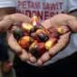 Massa yang tergabung dalam Asosiasi Petani Kelapa Sawit Indonesia (Apkasindo) menunjukkan kelapa sawit saat berunjuk rasa di kawasan Patung Kuda, Jakarta, Selasa (17/5/2022). Apkasindo meminta Presiden Joko Widodo atau Jokowi meninjau ulang kebijakan larangan ekspor sawit dan produk MGS serta bahan bakunya karena dampaknya langsung ke harga TBS sawit. (Liputan6.com/Faizal Fanani)