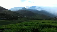 Telaga Saat, Surga Wisata Tersembunyi di Puncak Bogor