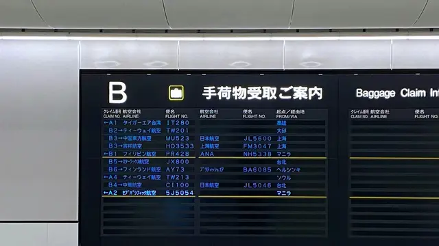 Antrean Panjang di Bandara Narita Jepang Gara-gara Sistem Bea Cukai Elektronik