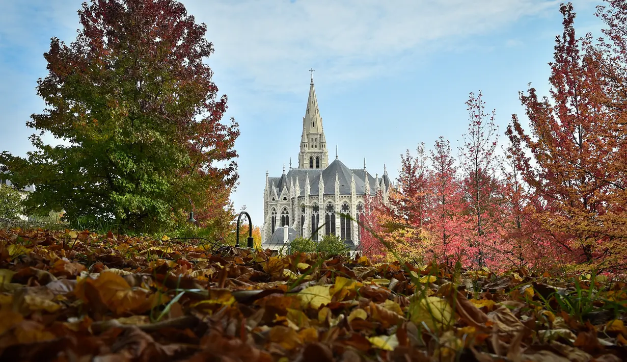 Gambar 18 Oktober 2018 menunjukkan daun-daun jatuh ke tanah saat musim gugur di depan gereja Sainte-Bernadette, Orvault, Prancis. Musim gugur ditandai dengan perubahan warna daun serta bergugurannya daun-daun dari pohonnya. (LOIC VENANCE/AFP)