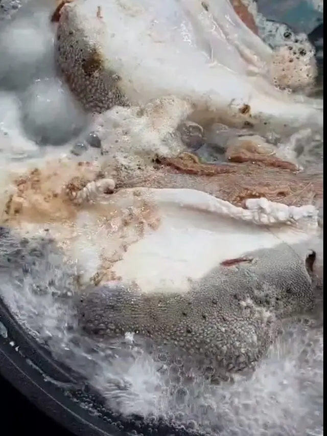 Cuma Pakai 3 Bahan, Begini Cara Efektif Bersihkan Lidah Sapi Biar Lembut dan Tidak Bau