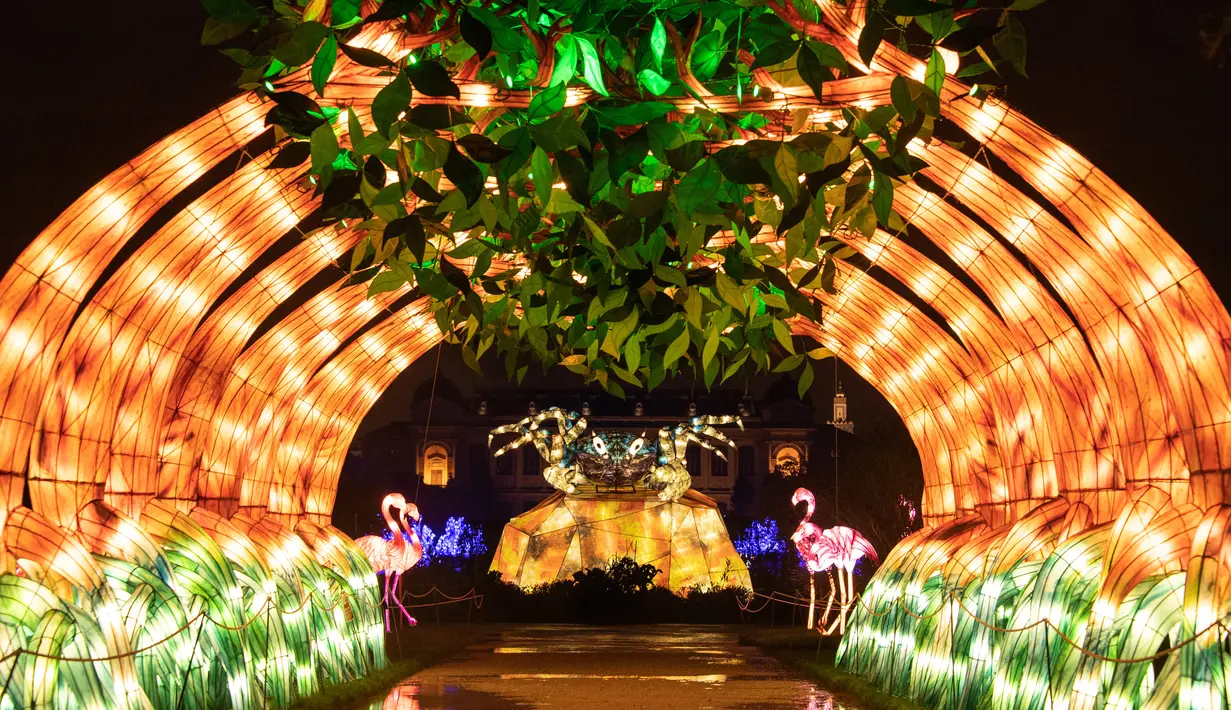 Gambar pada 15 November 2019 menunjukkan lampu berwarna-warni menyala terang sebagai bagian dari pameran festival cahaya di Kebun Binatang Jardin des Plantes, Paris. Festival Cahaya bertajuk "Ocean en voie d'illumination" ini digelar dari 18 November 2019 - 19 Januari 2020. (BERTRAND GUAY/AFP)