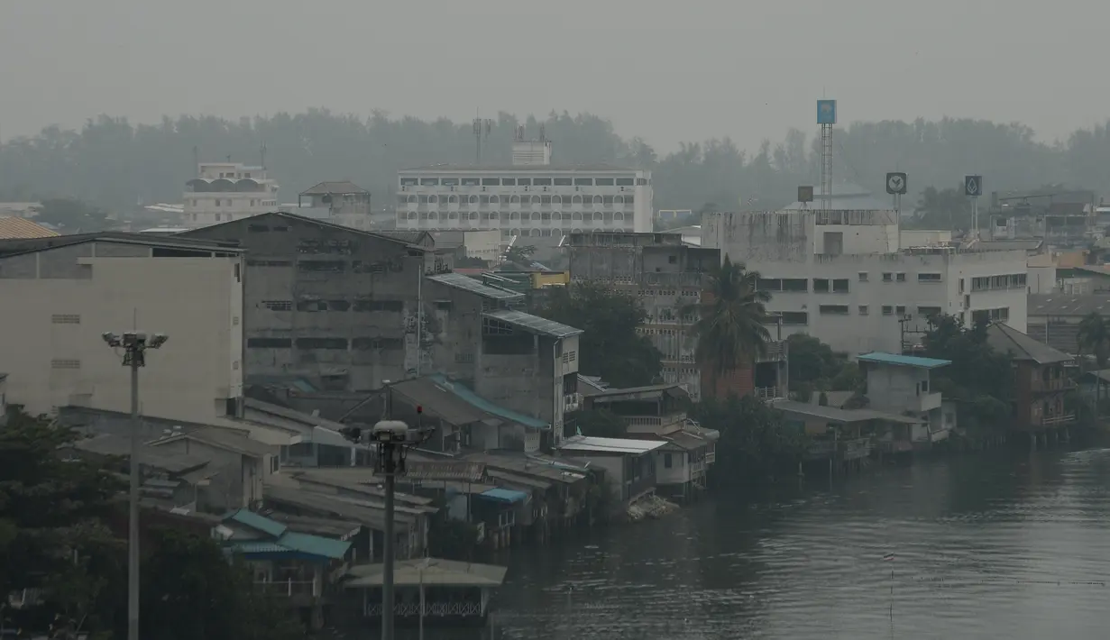 Kabut asap yang menyelimuti provinsi Narathiwat di Thailand selatan (20/9/2019). Menurut pemerintah setempat, tingkat polusi udara akibat kabut asap semakin meningkat sejak 5 September lalu. (AFP Photo/Madaree Tohlala)