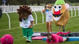Seorang peserta terjatuh saat mengikuti lomba lari dalam acara Mascot Gold Cup tahunan ke-13 di Wetherby Racecourse, Inggirs (29/4). Yang unik, peserta mengenakan kostum badut saat mengikuti lomba lari ini. (AFP/Oli Scarff)