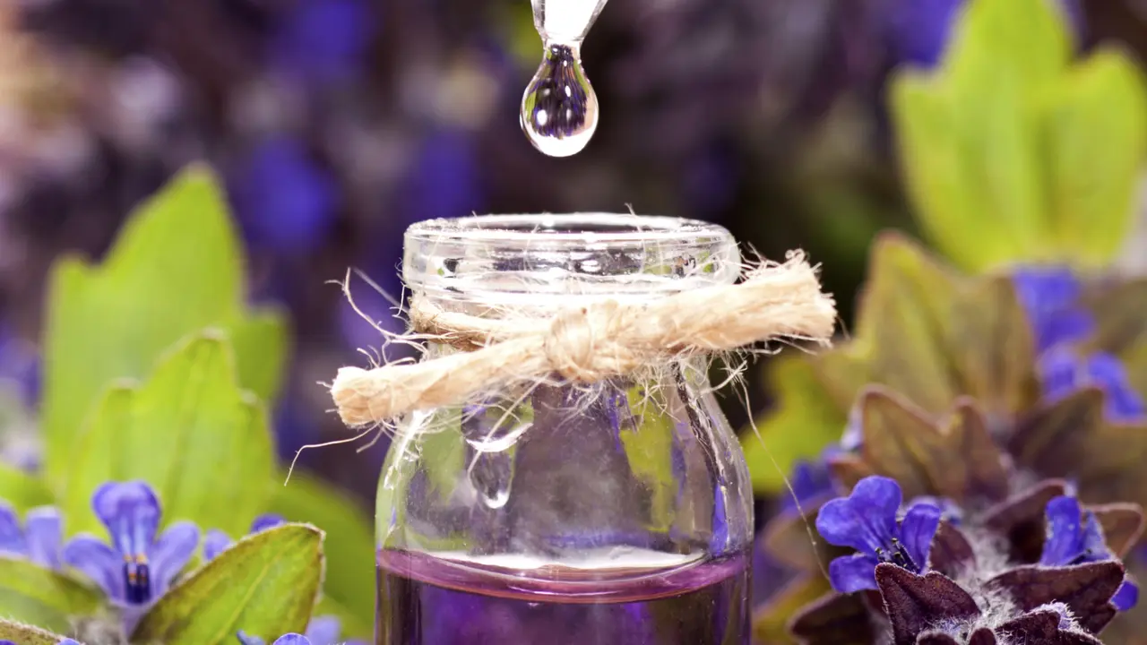 lavender