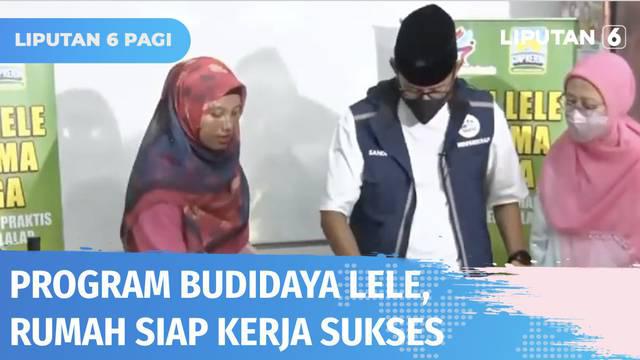 Program Rumah Siap Kerja Kemenparekraf bagi warga Jatinegara, Jakarta Timur, akhirnya membuahkan hasil. Melalui program budidaya ikan lele dalam ember, 340 kg lele dihasilkan. Warga menyuguhkan olahan bakso lele ke Menparekraf Sandiaga Uno.