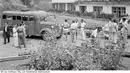 Bus dan mobil sedan era 1950 hingga 1960an sedang terparkir di pinggir jalan sekitaran Batu. (Source: jelajahmalangku.blogspot.com)