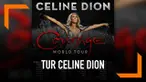 Celine DIon mengumumkan rencana tur dunia album terbarunya dengan judul 'Courage'.