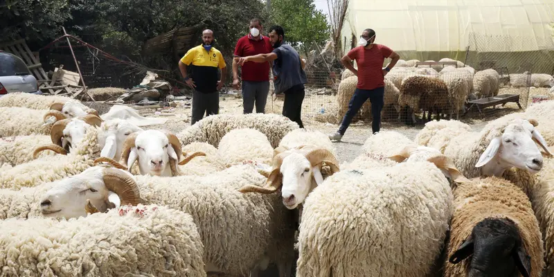 FOTO: Kesibukan Jelang Hari Raya Idul Adha di Aljazair