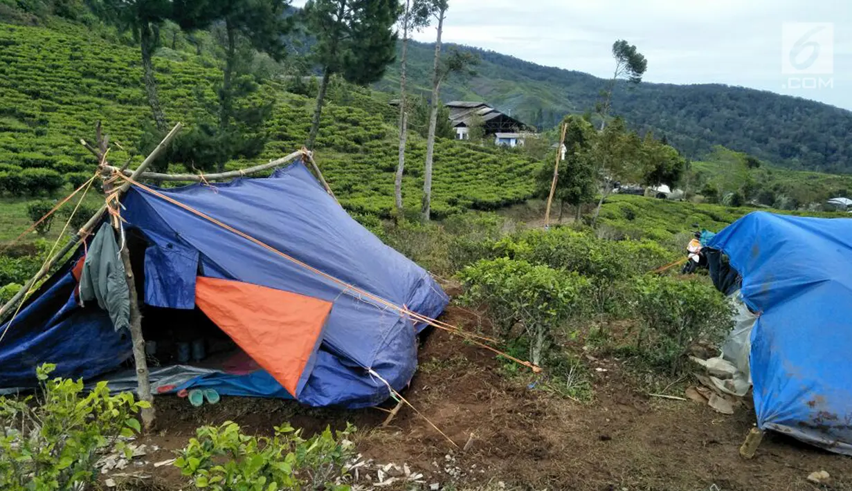Bentuk tenda warga yang mengungsi di perkebunan teh milik PT Nirmala di Desa Malasari, Nanggung, Bogor, Jawa Barat. Mereka terpaksa meninggalkan kampungnya karena retakan bukit akibat gempa beberapa waktu lalu. (Liputan6.com/Achmad Sudarno)