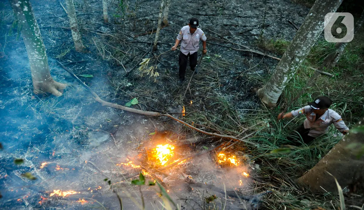 Kebakaran diduga berasal dari puntung pengendara bermotor. (merdeka.com/Arie Basuki)