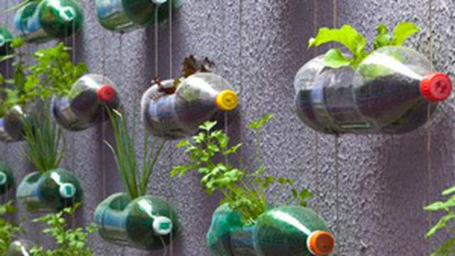 Taman Vertikal Unik yang Hemat Ruang