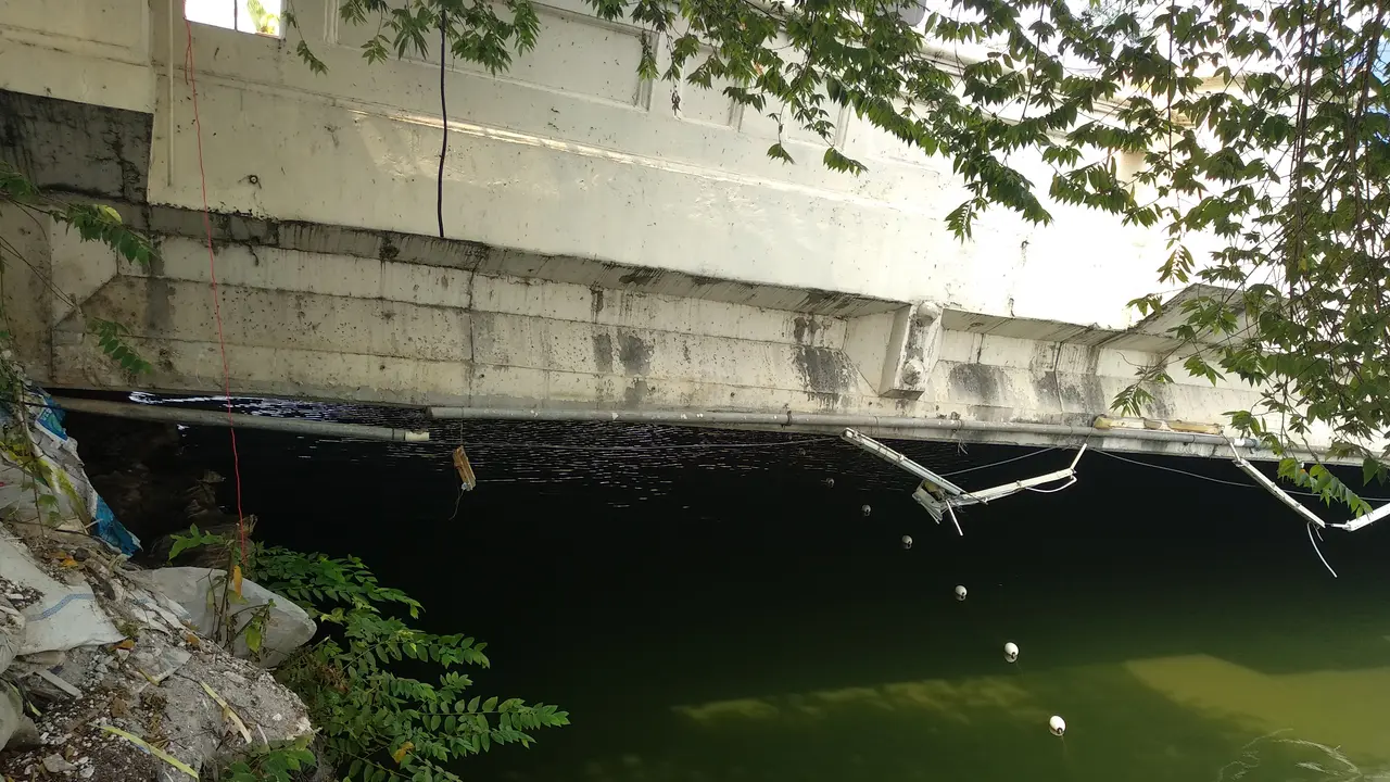 Dua ekor Buaya diduga tengah bersarang di kolong jembatan sekitar Mangga Dua Square, Jakarta Utara. (Liputan6.com/Delvira Chaerani Hutabarat)