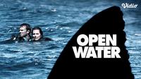 Sinopsis dan Fakta Menarik Film Hollywood Open Water, Tayang di Vidio