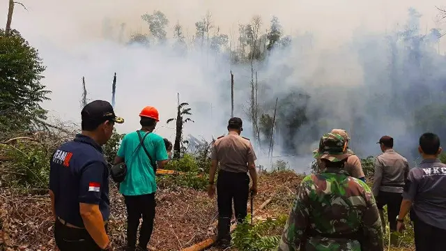 Petugas berusaha memadamkan kebakaran lahan di TNTN yang menjadi habitat gajah di Riau.
