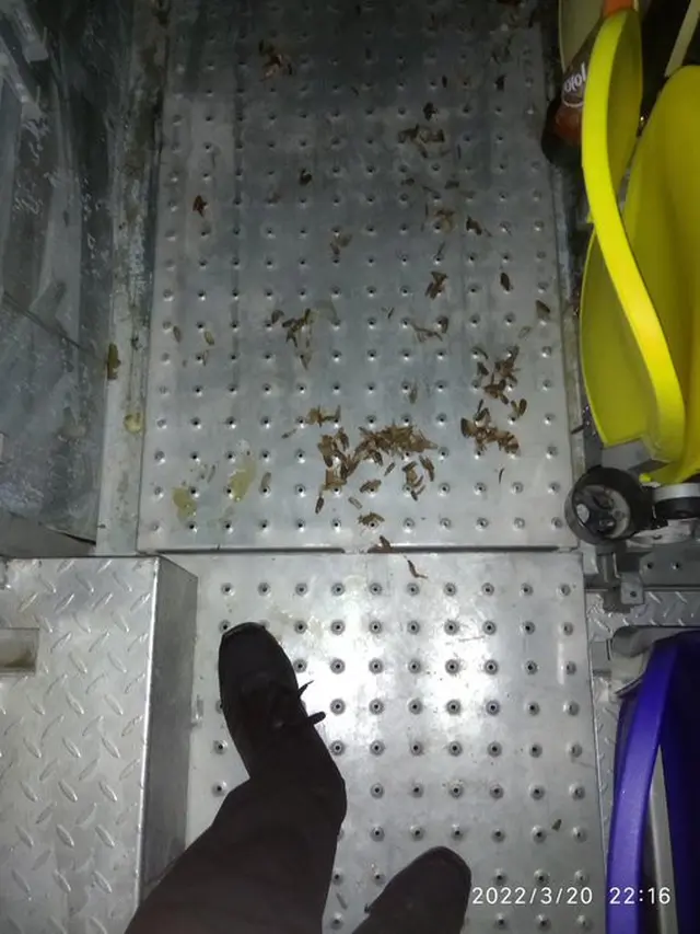 Barang Aneh Ditinggalkan Penonton MotoGP