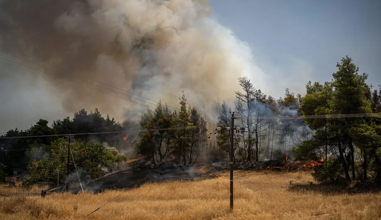 Hingga Minggu (27/7/2025), otoritas Yunani masih berjibaku menghadapi kebakaran hutan yang melanda berbagai wilayah. (Angelos TZORTZINIS/AFP)