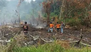 Asap Kebakaran Hutan Ancam Kesehatan, Menkes Ingatkan Warga Pakai Masker