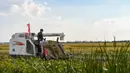 Seorang warga desa memanen padi di sebuah sawah di wilayah Yongji, Jilin, Provinsi Jilin, China timur laut, 16 September 2020. Sawah-sawah di Jilin telah memasuki musim panen. (Xinhua/Zhang Nan)