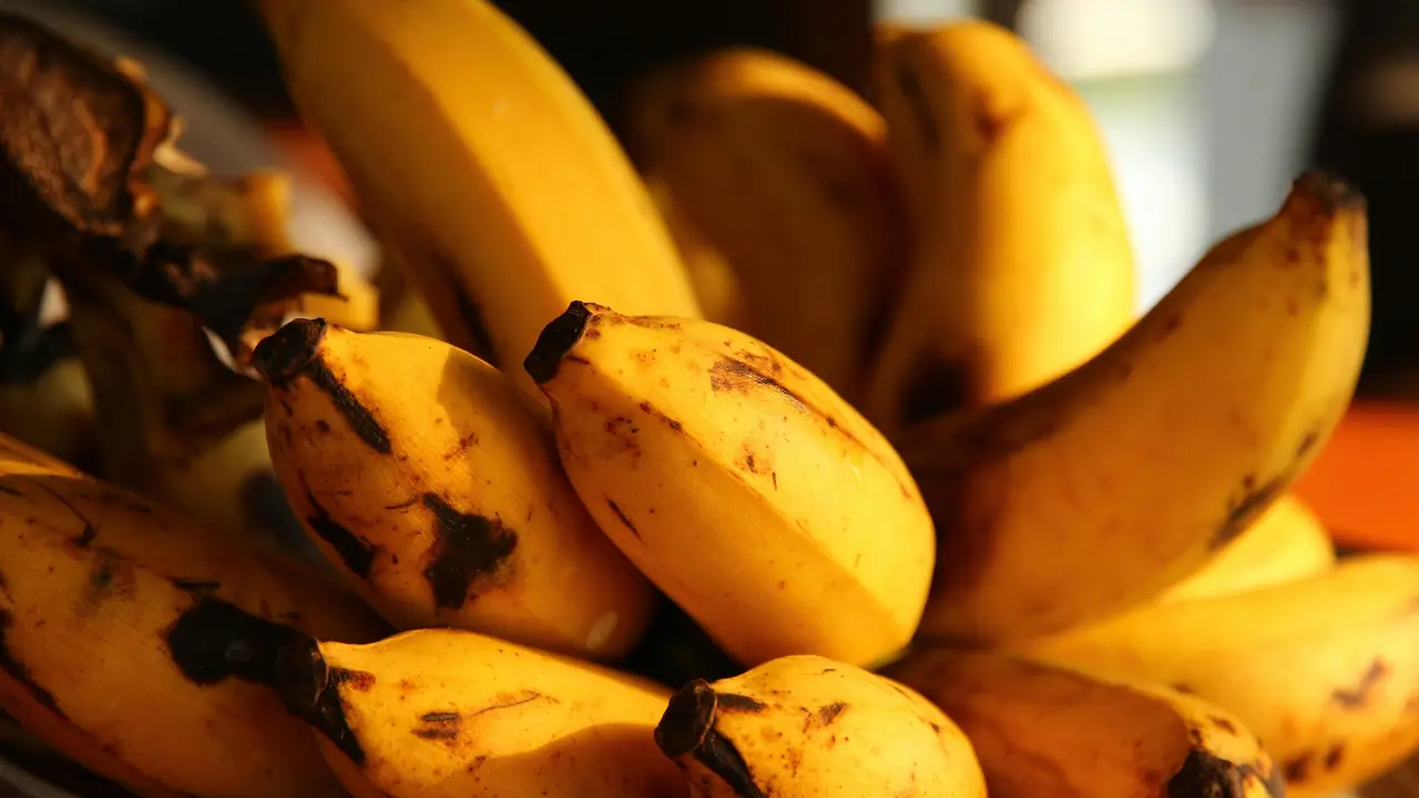Pisang Matang di Seoul saat Musim Panas yang Terik Memicu Mekarnya Buah Tropis
