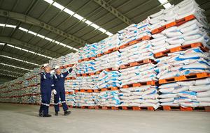 Petrokimia Gresik siap mendistribusikan pupuk bersubsidi ke seluruh Indonesia mulai awal Januari 2025 sesuai tugas dari Pemerintah. Hal ini dilakukan perusahaan dengan menyiapkan stok sebanyak 372.668 ton. (Dok. Petrokimia Gresik)