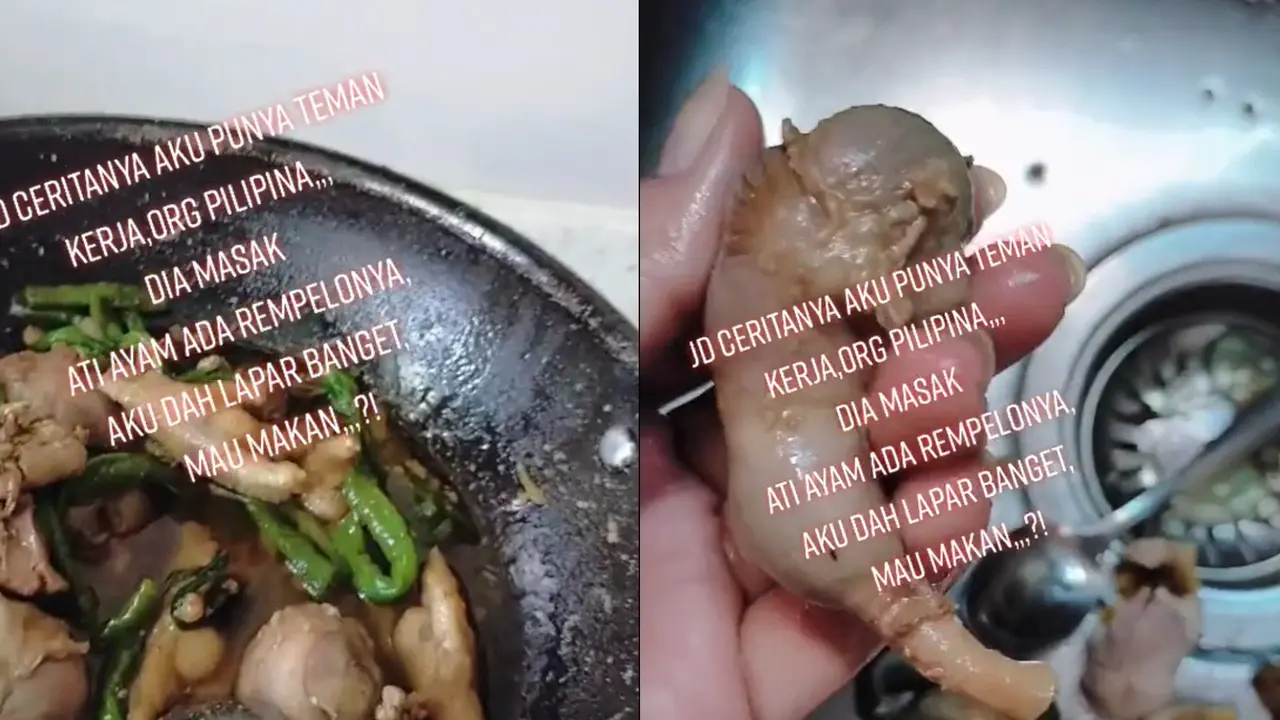 Masak Ala Amatir