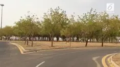  Berawal sebuah ide untuk menghijaukan Padang Arafah. Bung Karno menanam pohon berjenis mindi yang terkenal dengan Pohon Soekarno di Arab Saudi.
